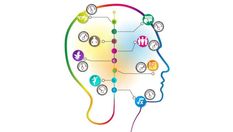 orientation et intelligences multiples BestFutur