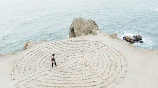 comment les universités choisissent les futurs bacheliers: bestfutur vous explique tout